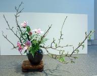 34 - Laraine Paradis.jpg 6.3K